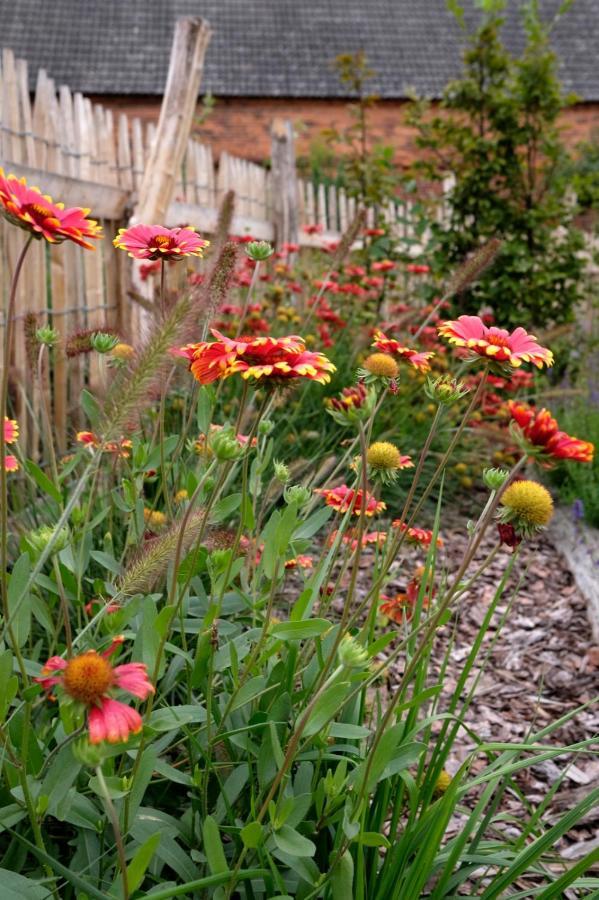 Ferienwohnung Mohnblume Pulzig Ngoại thất bức ảnh